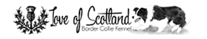 Love of Scotland Border Collie kennel